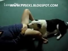 Adorable male dog who loves to eat cookies